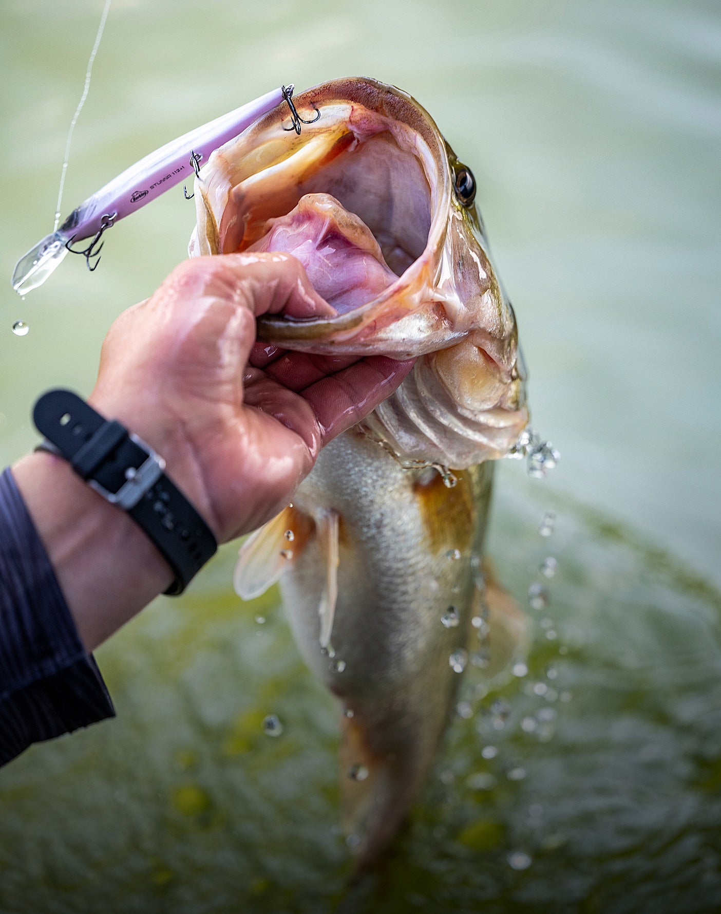 Bass fishing