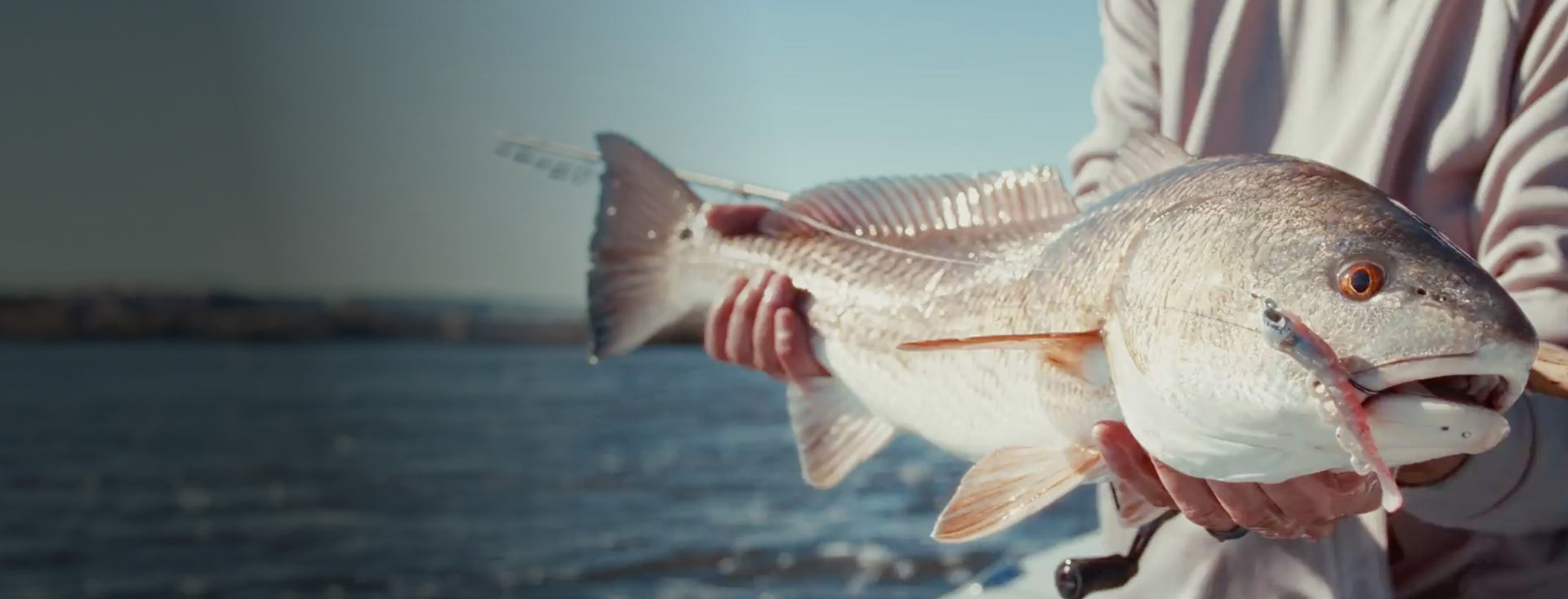 Berkley Saltwater Banner Desktop