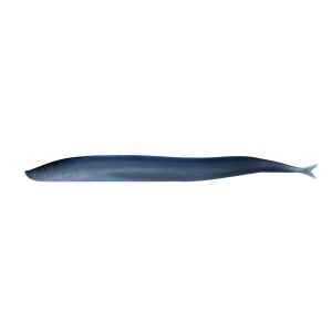 Gulp!? Saltwater Sand Eel