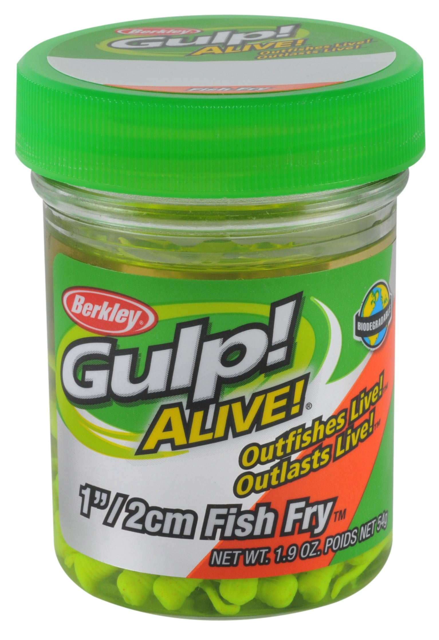 Gulp! Alive!? Fish Fry - Image 5