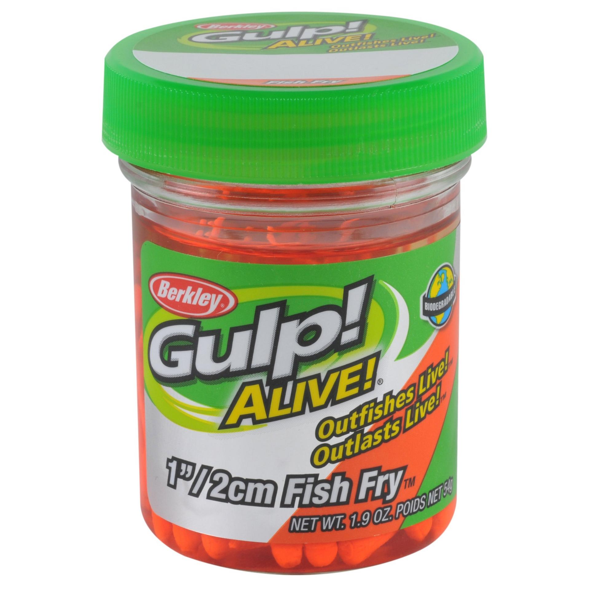 Gulp! Alive!? Fish Fry - Image 6