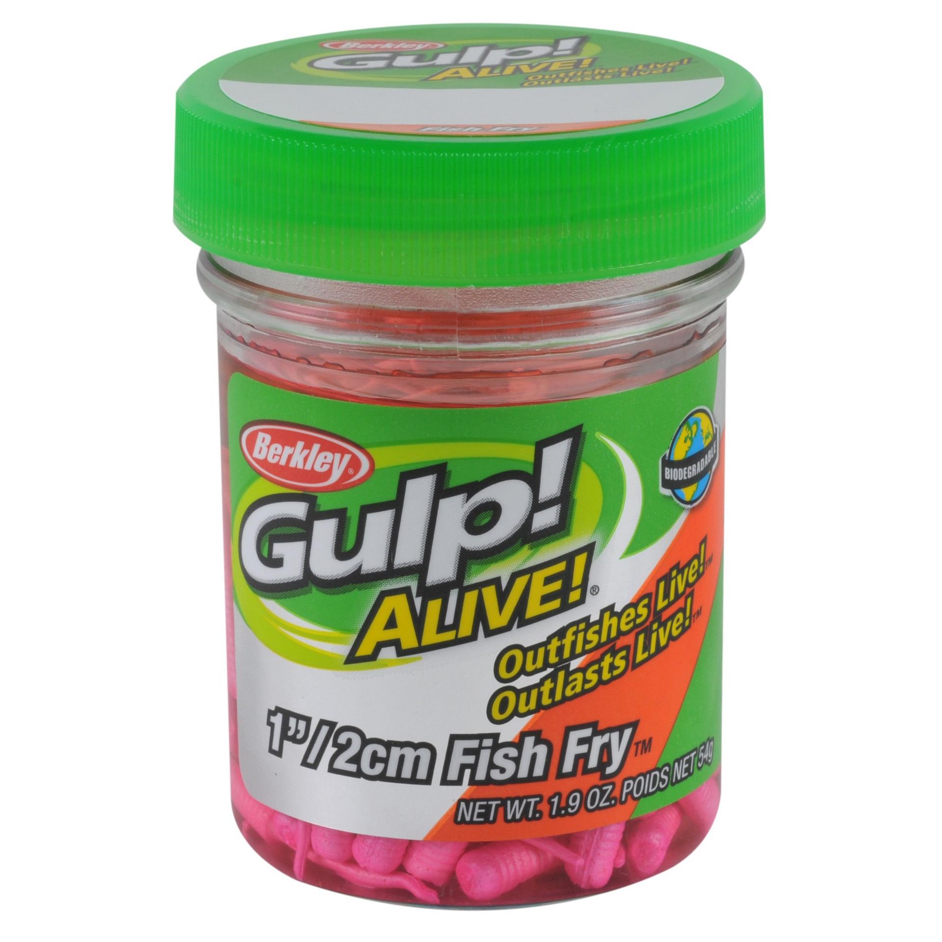 Gulp! Alive!? Fish Fry - Image 11