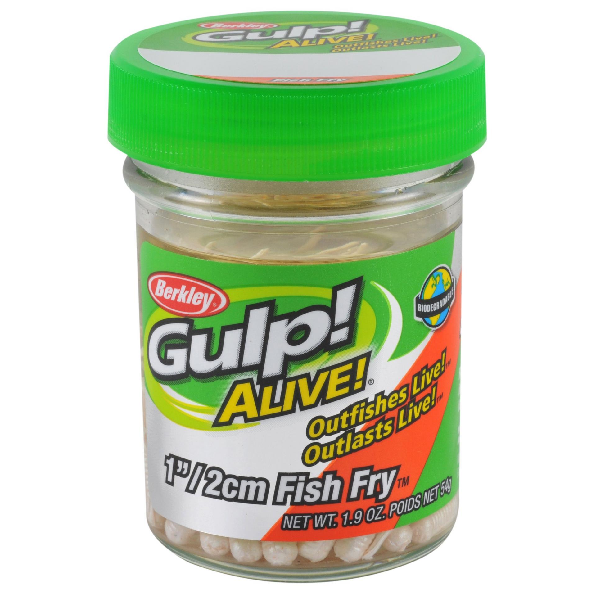 Gulp! Alive!? Fish Fry - Image 7