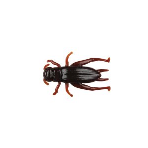 Gulp! Alive!? Cricket