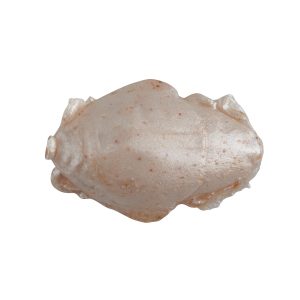 Gulp!? Saltwater Sand Crab Flea
