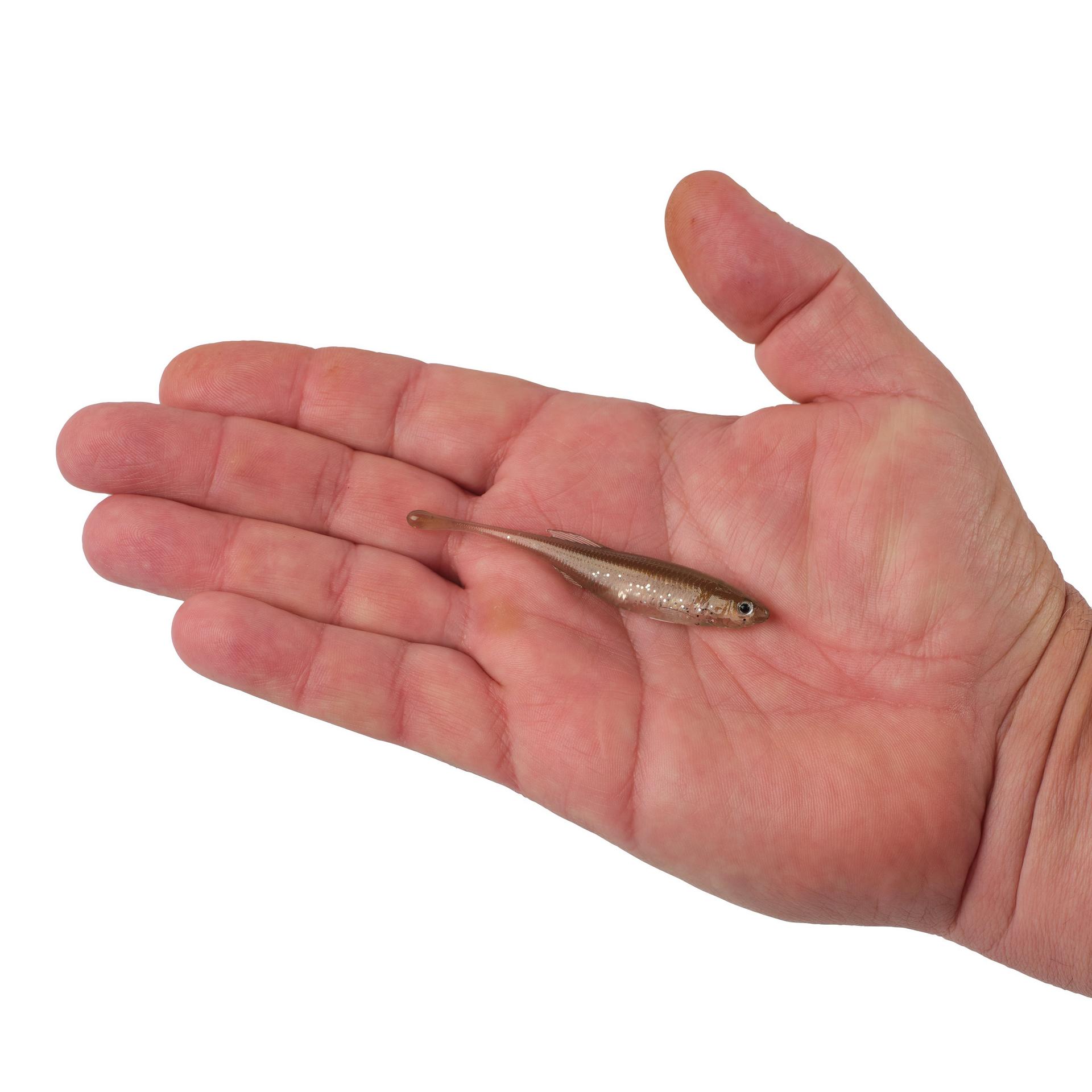 PowerBait? Drip Minnow - Image 139