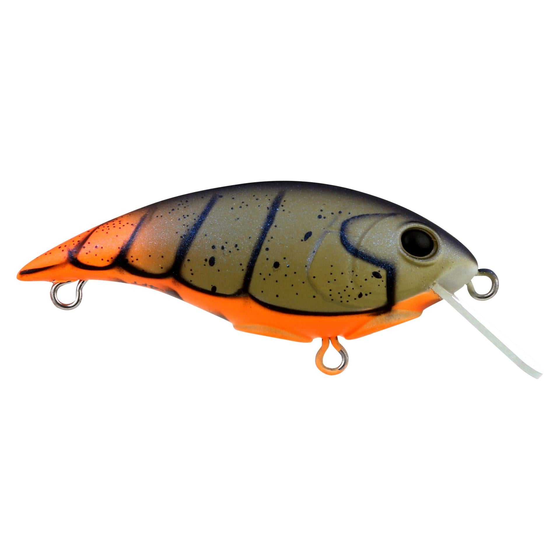 Shallow Money Badger - Image 6