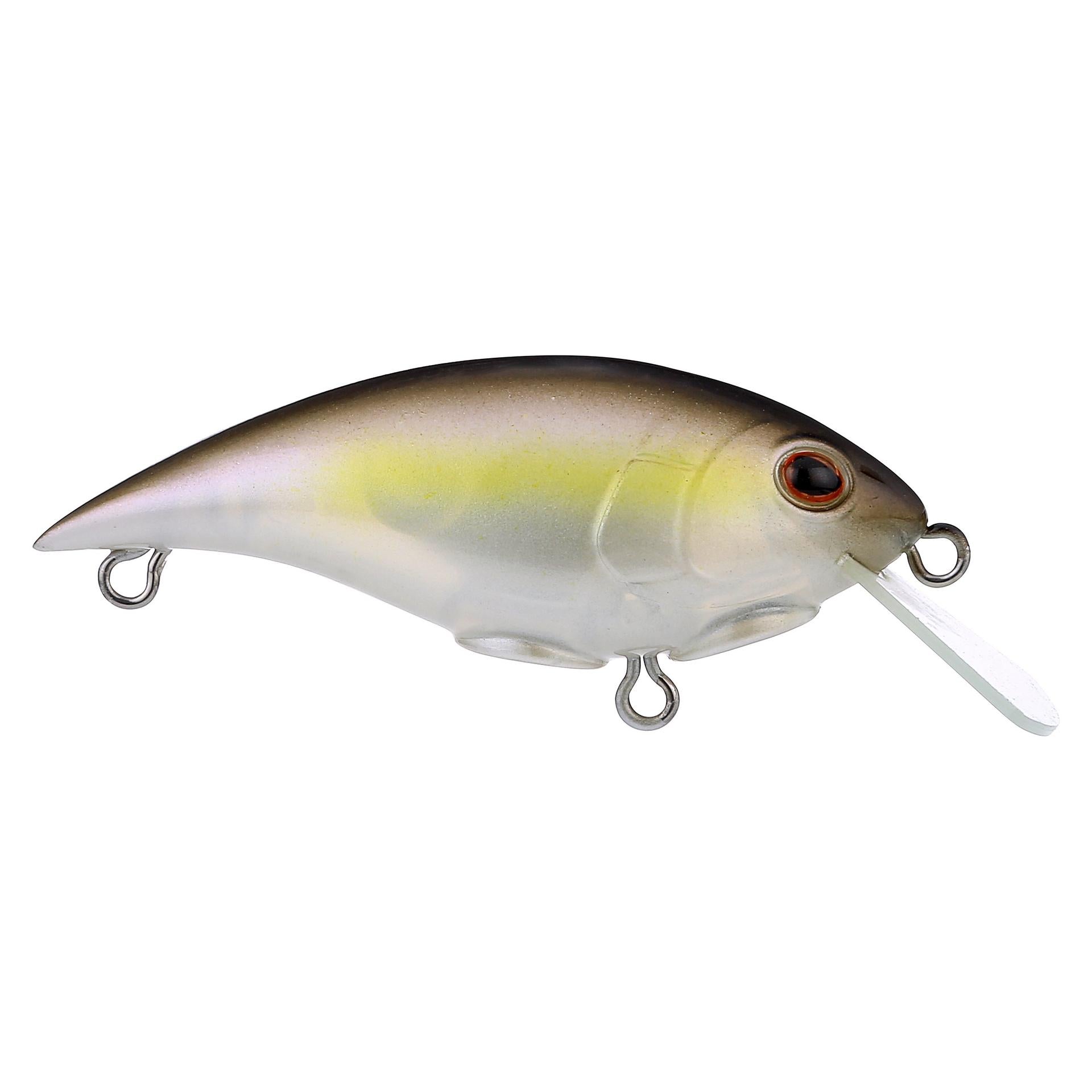 Shallow Money Badger - Image 151