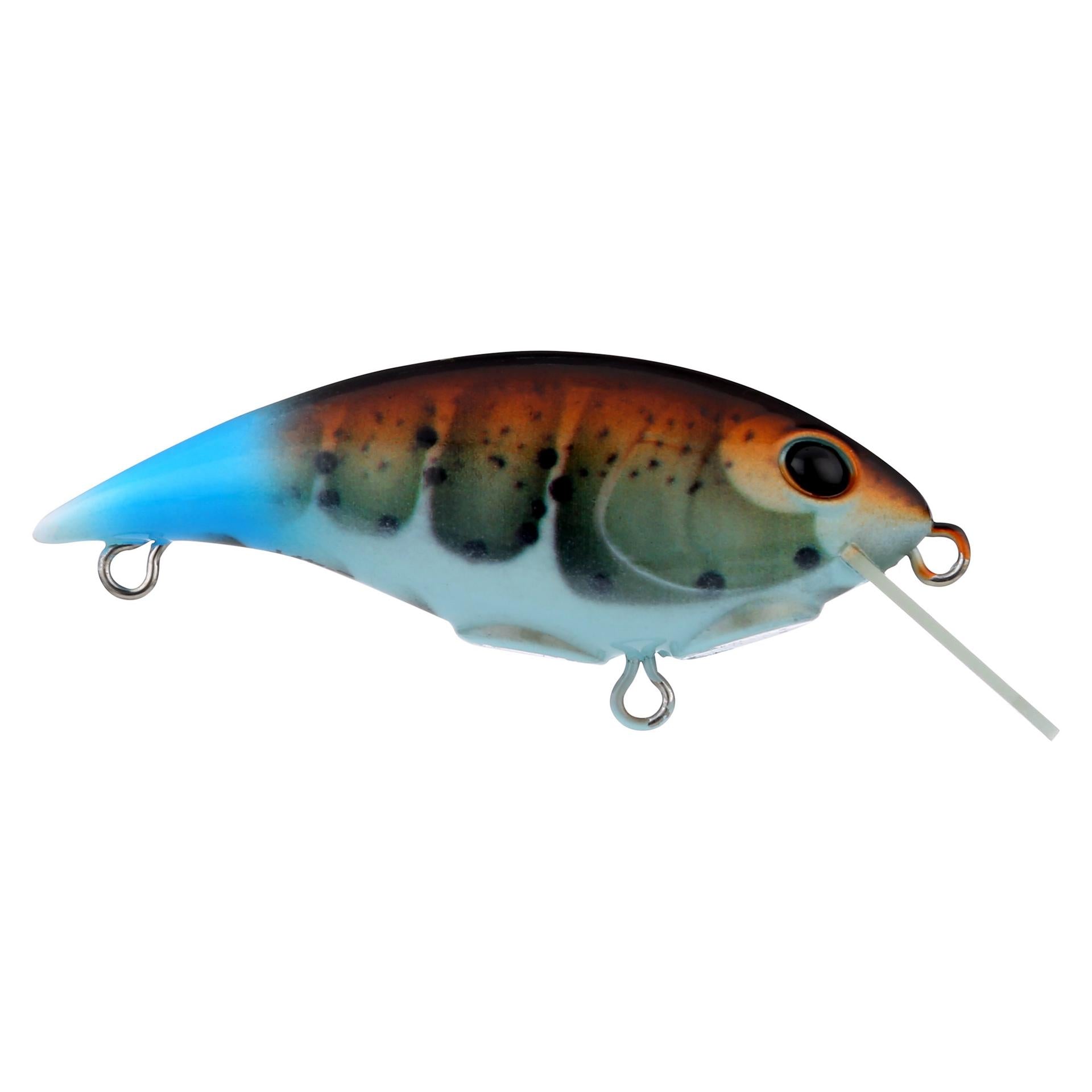 Shallow Money Badger - Image 166