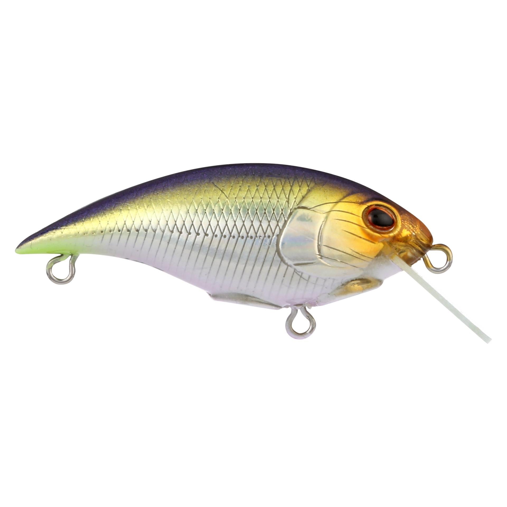 Shallow Money Badger - Image 14