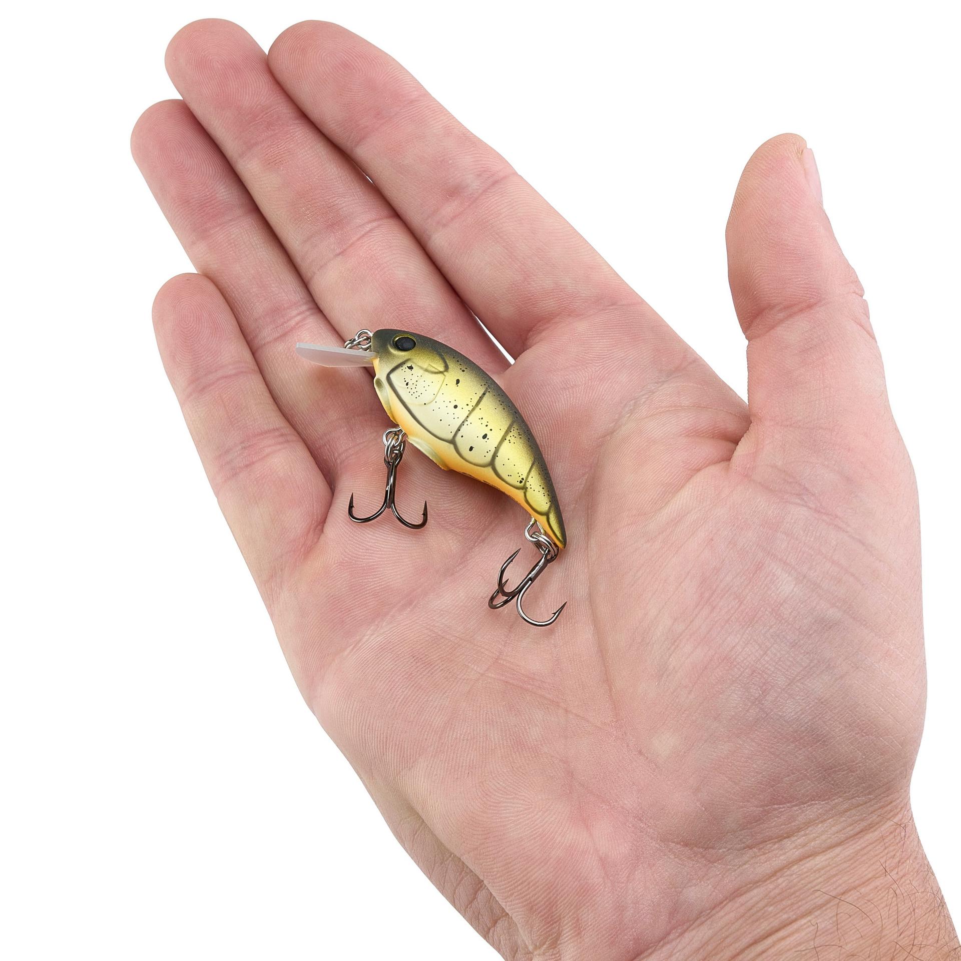 Shallow Money Badger - Image 219
