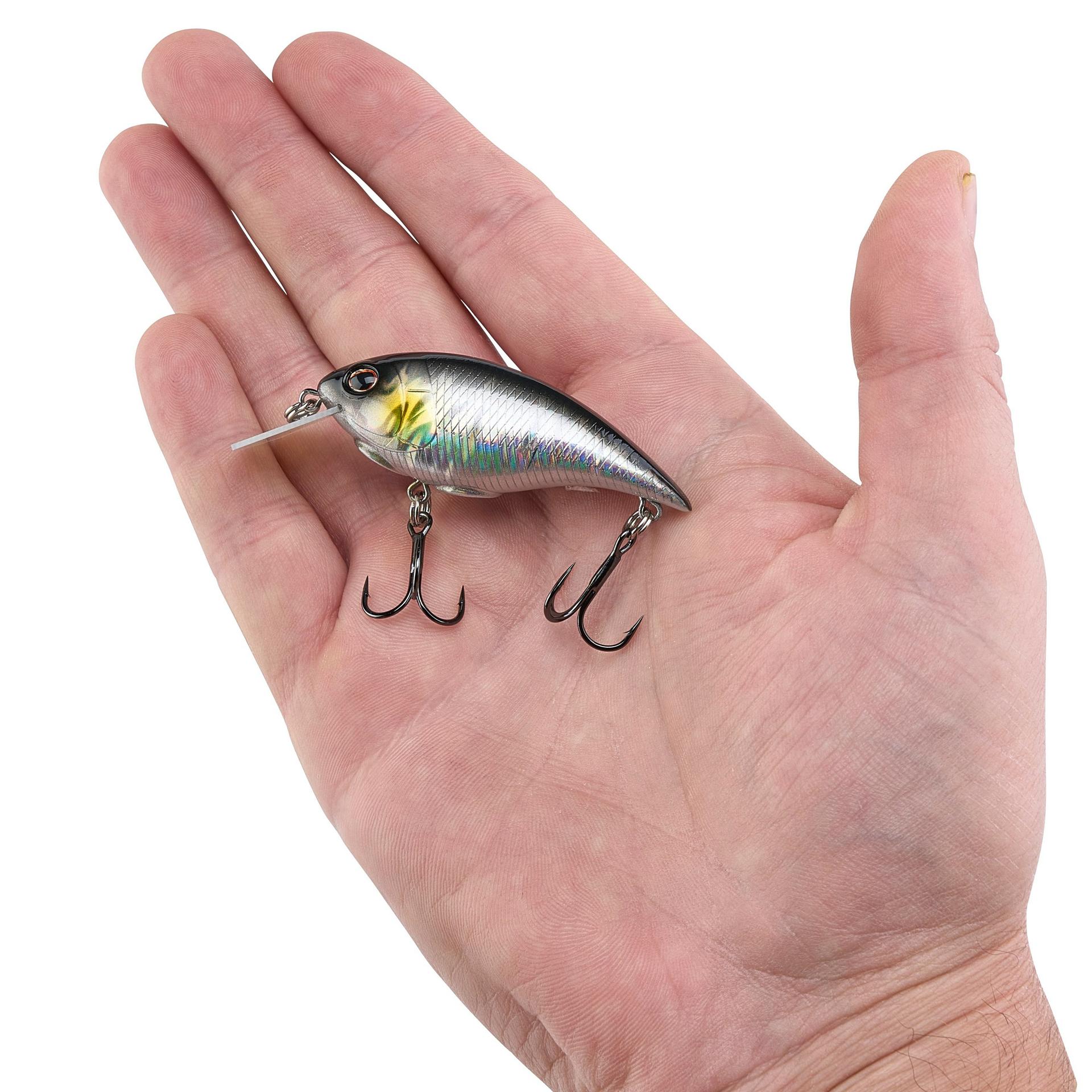 Shallow Money Badger - Image 229