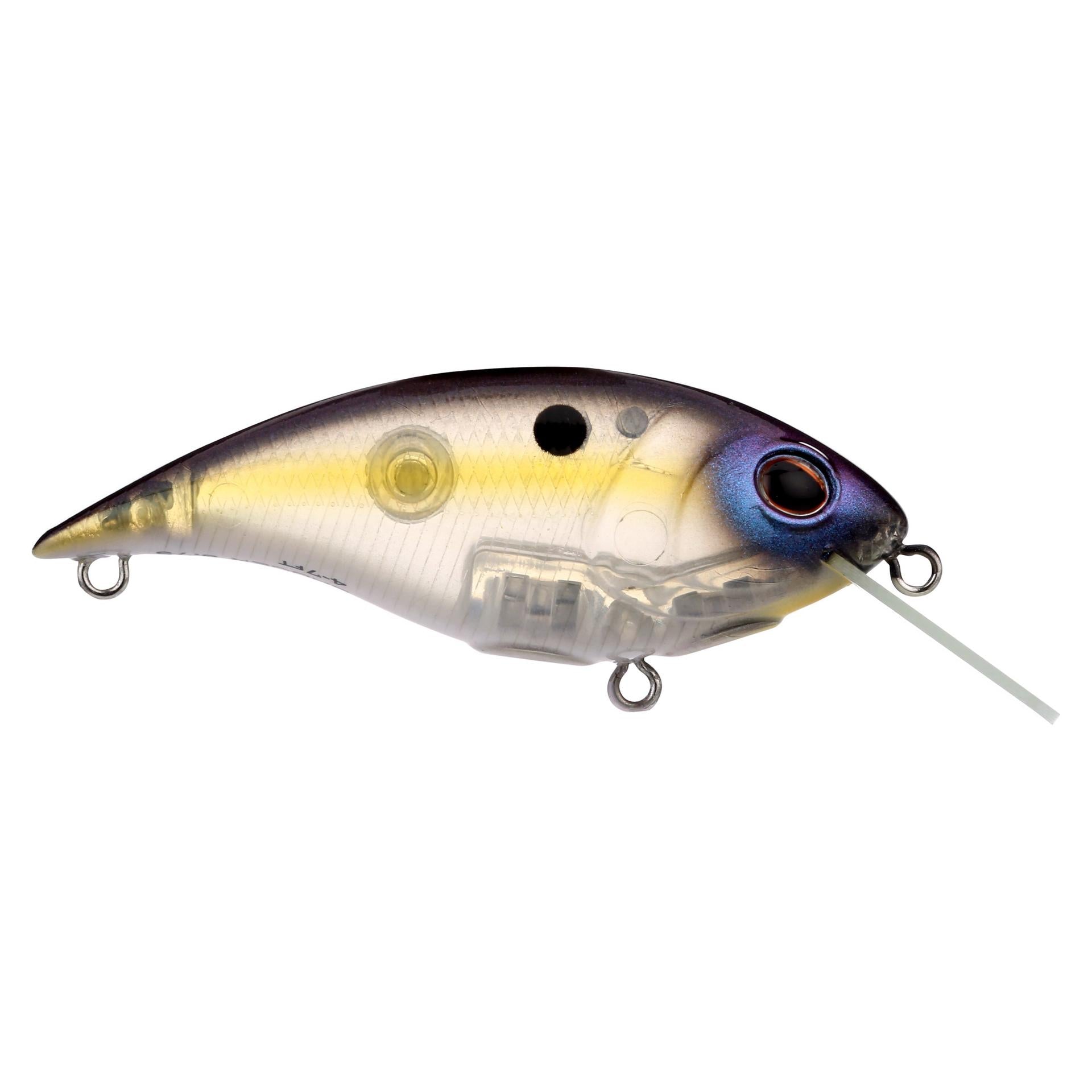 Shallow Money Badger - Image 71