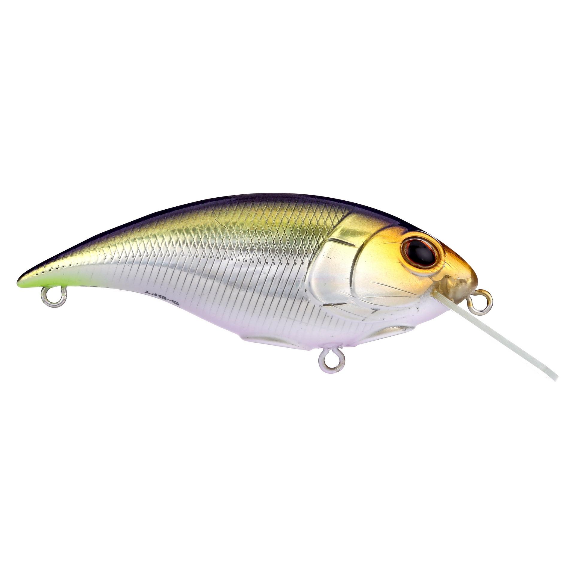 Shallow Money Badger - Image 102