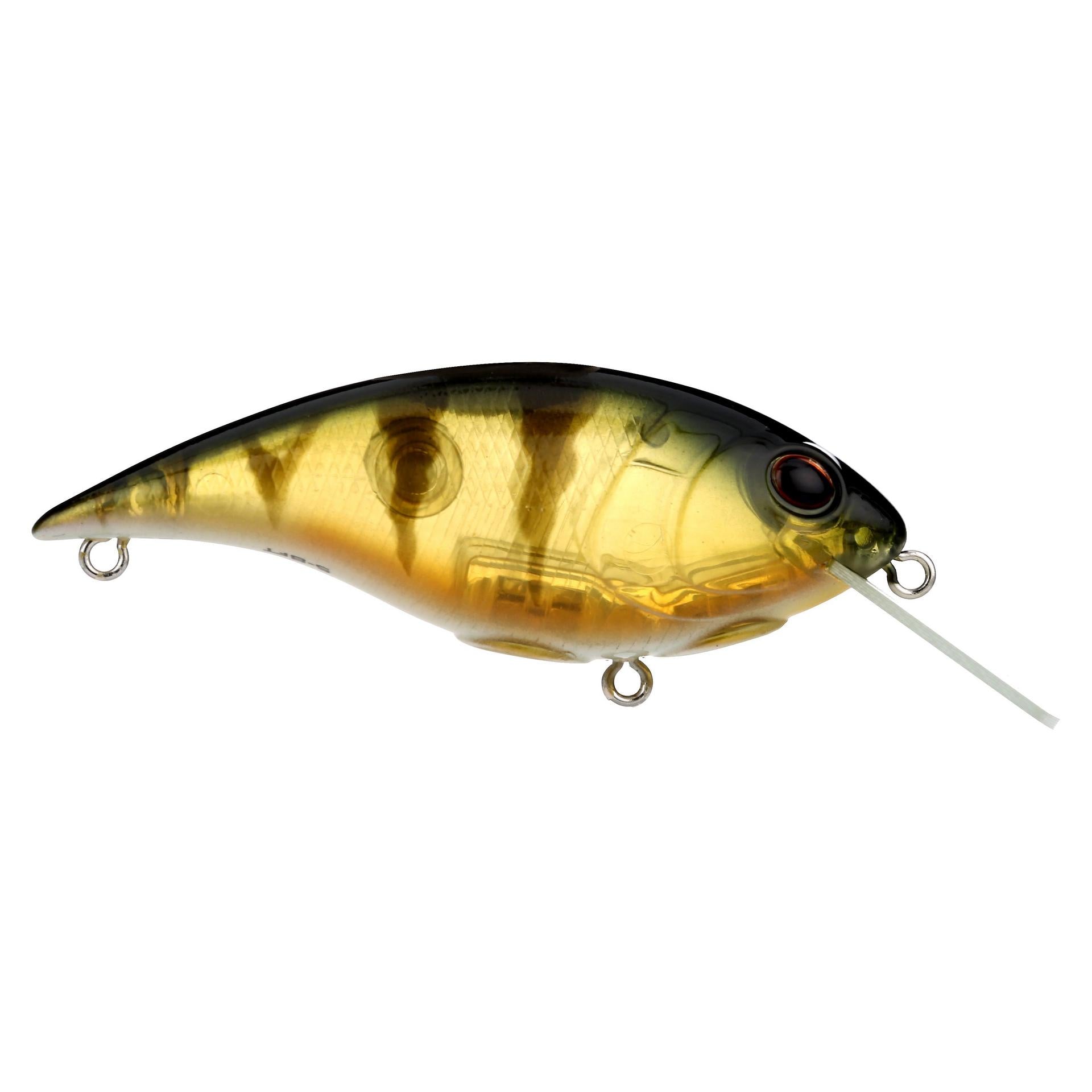 Shallow Money Badger - Image 103