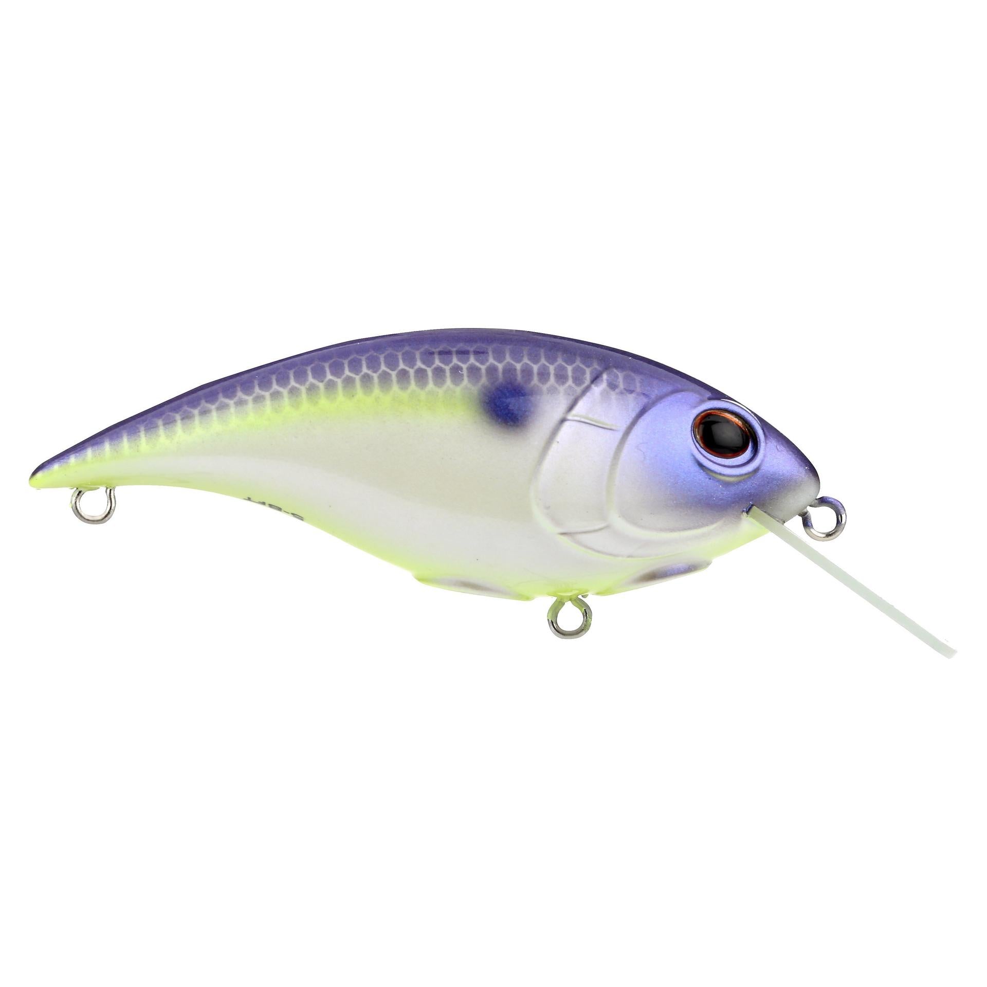 Shallow Money Badger - Image 105