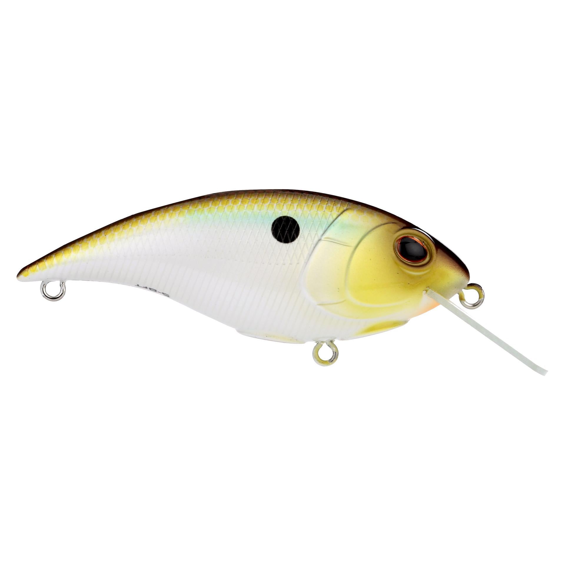 Shallow Money Badger - Image 108