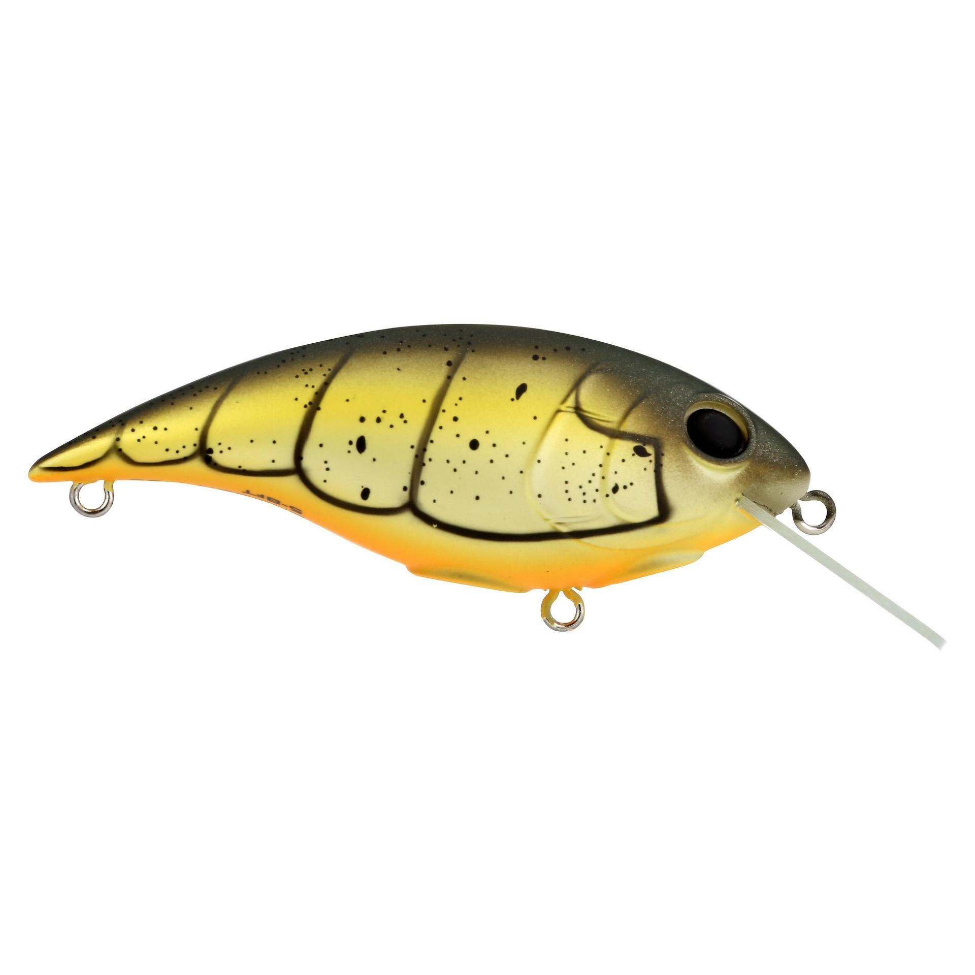 Shallow Money Badger - Image 110