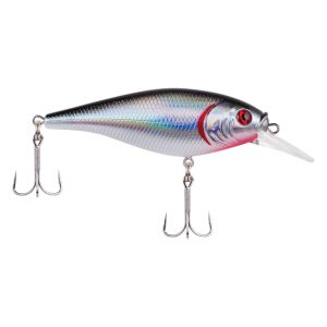 Flicker Shad? Shallow