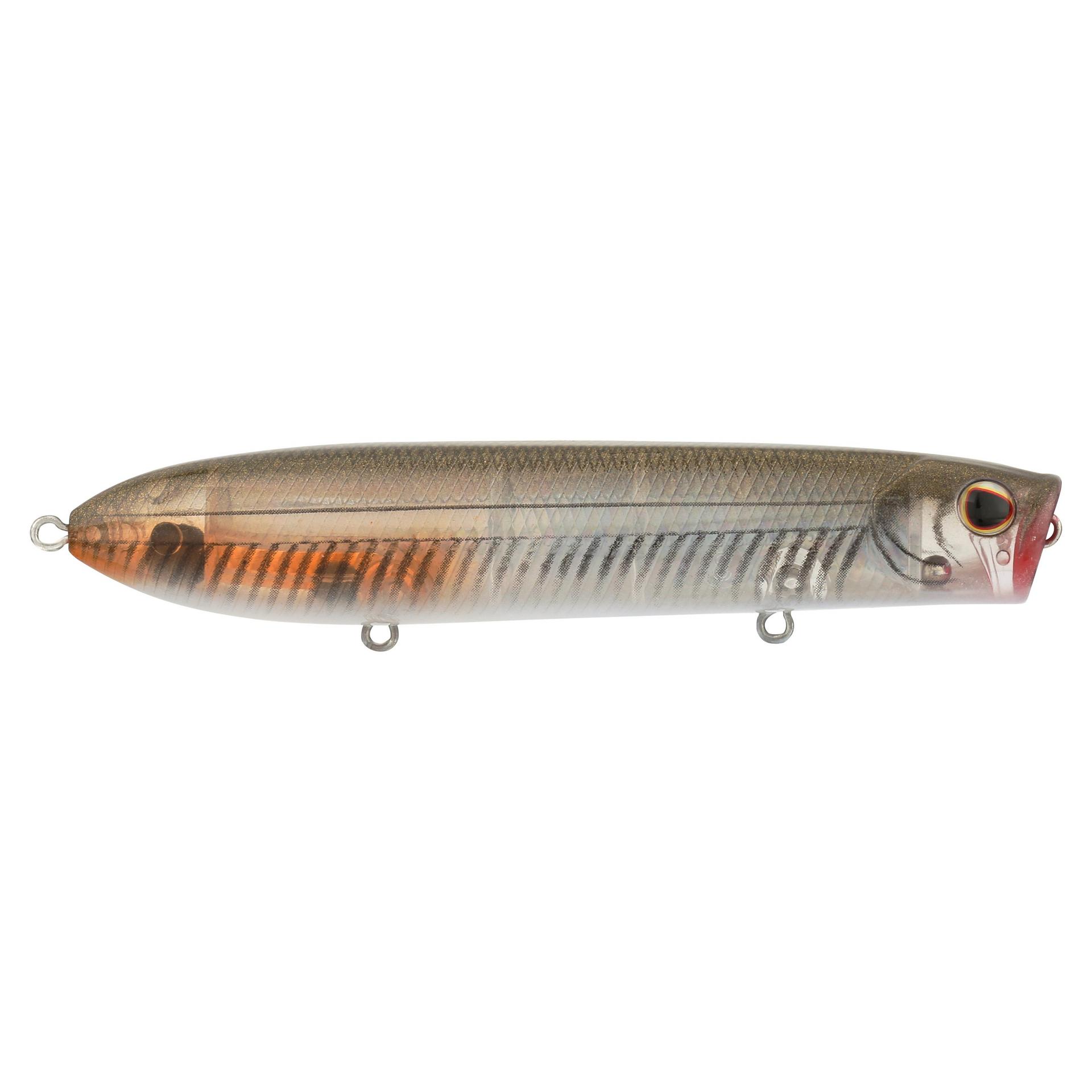Cane Walker Saltwater - Image 100