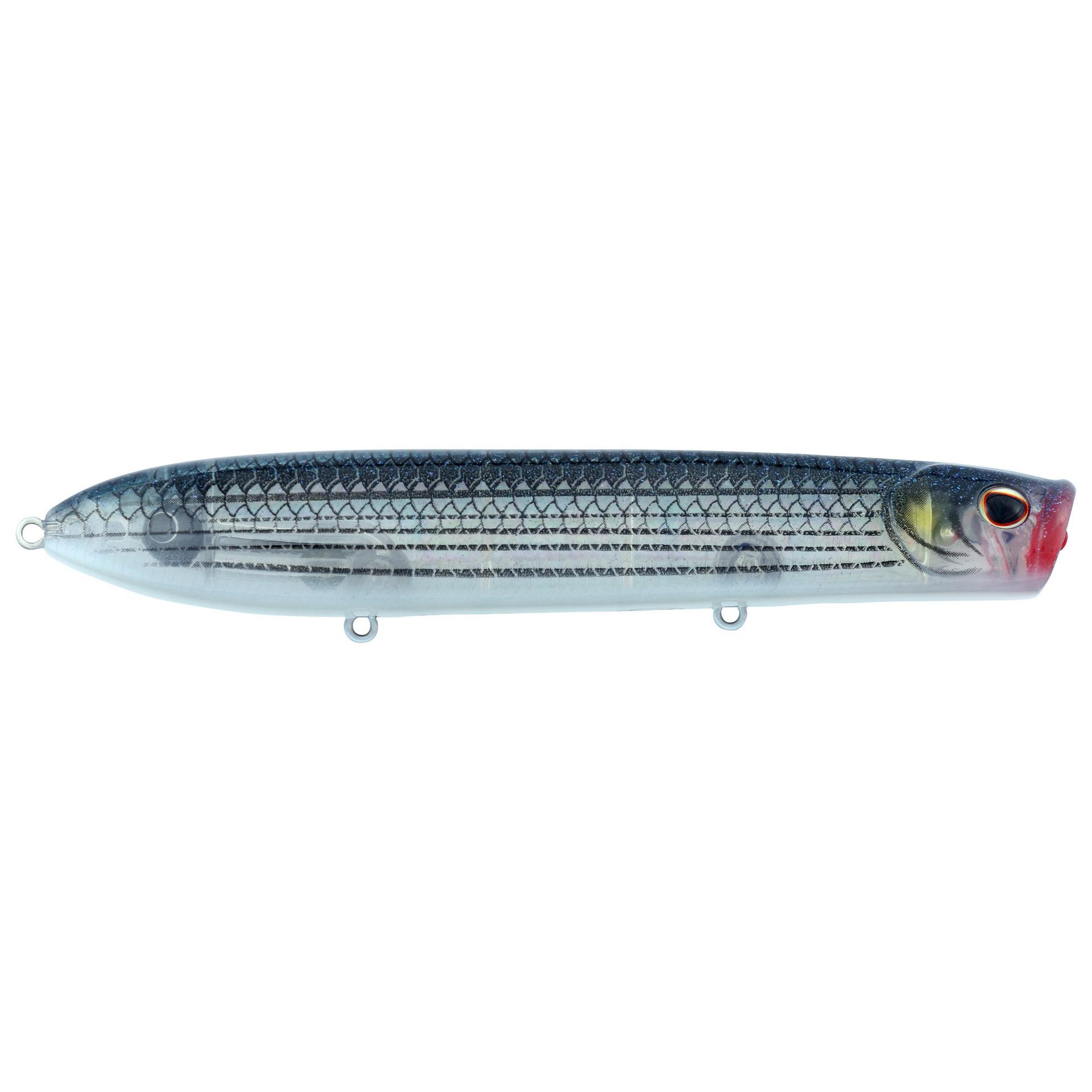 Cane Walker Saltwater - Image 46