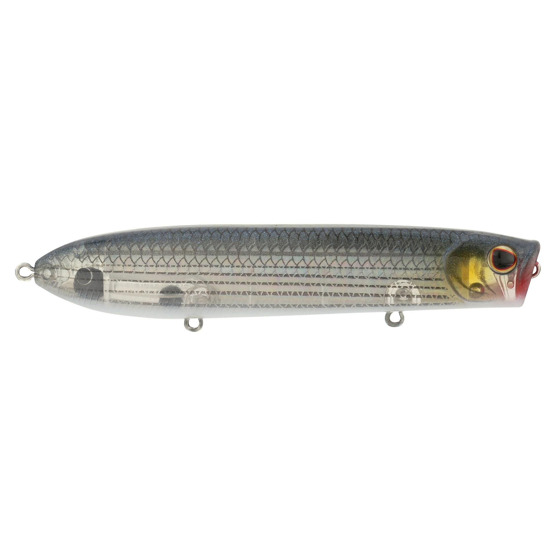 Cane Walker Saltwater - Image 110