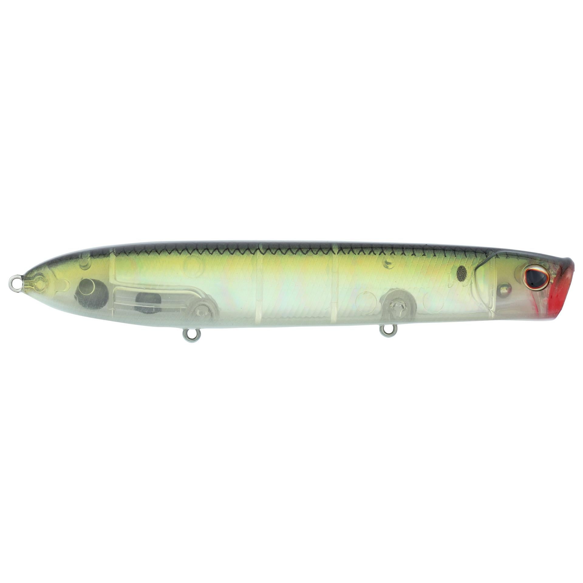 Cane Walker Saltwater - Image 51