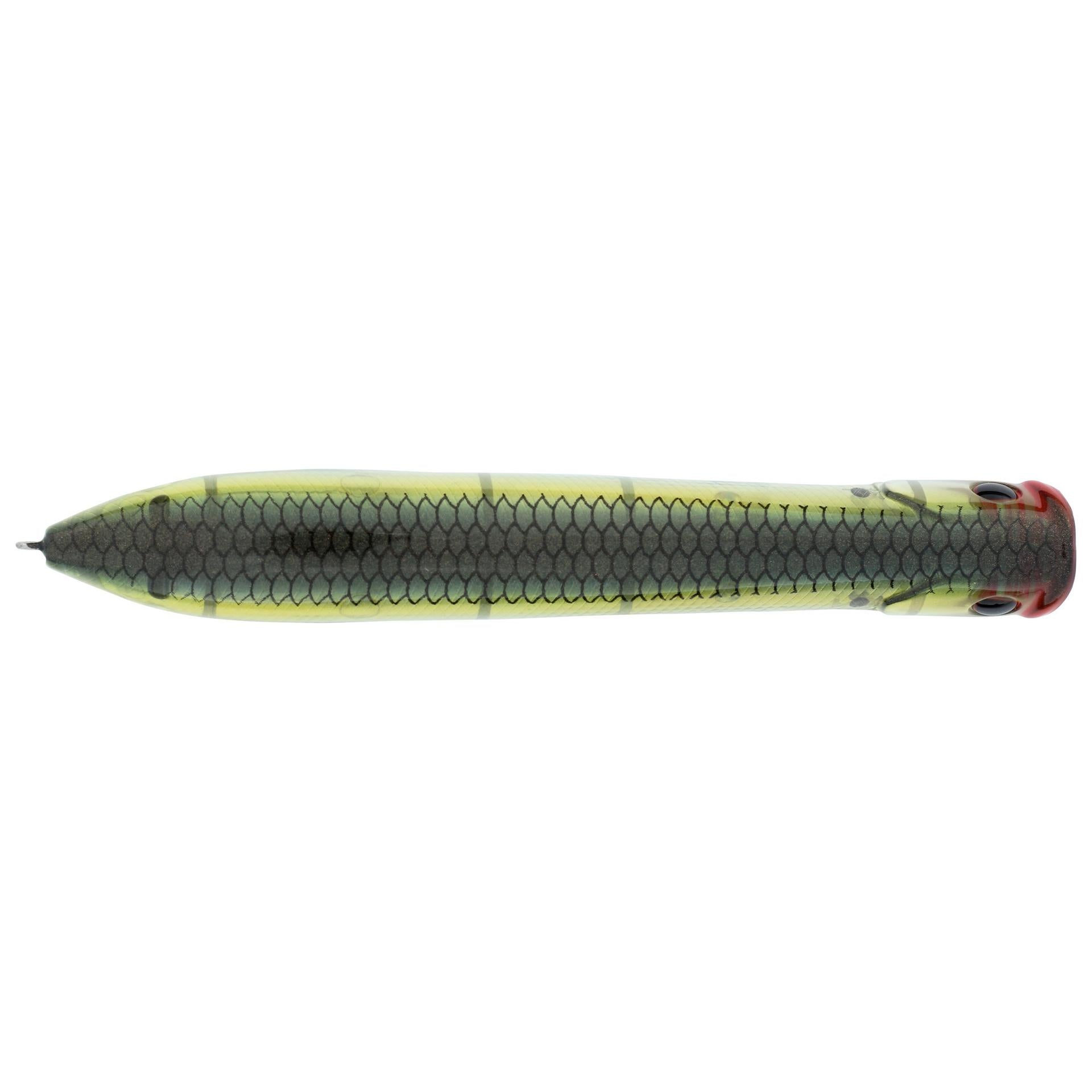 Cane Walker Saltwater - Image 52