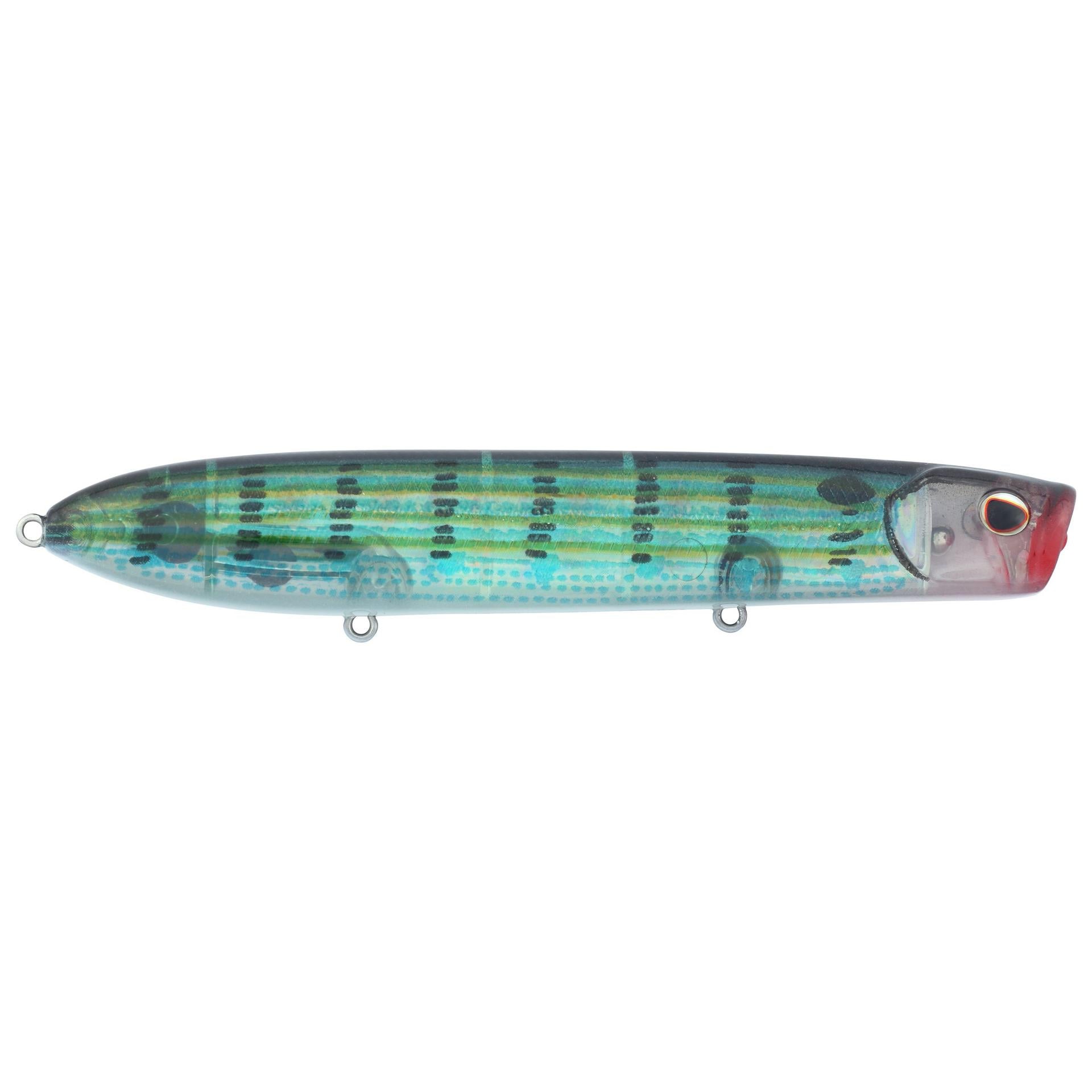 Cane Walker Saltwater - Image 56