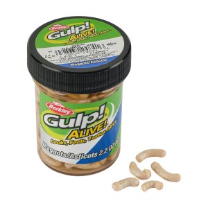 Gulp! Alive!? Maggots