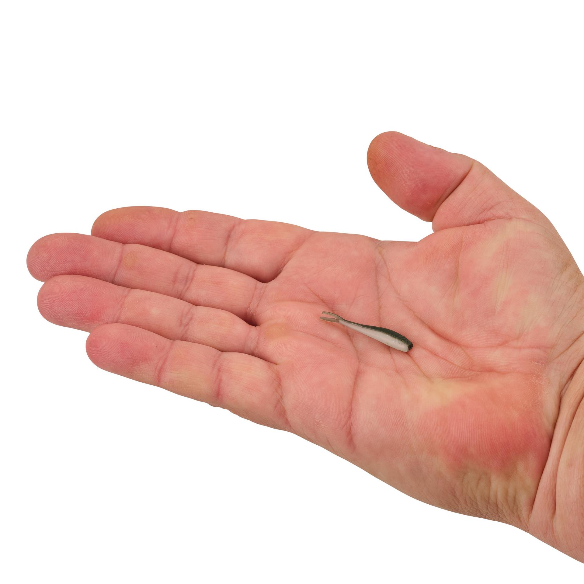 Gulp! Alive!? Minnow - Image 42