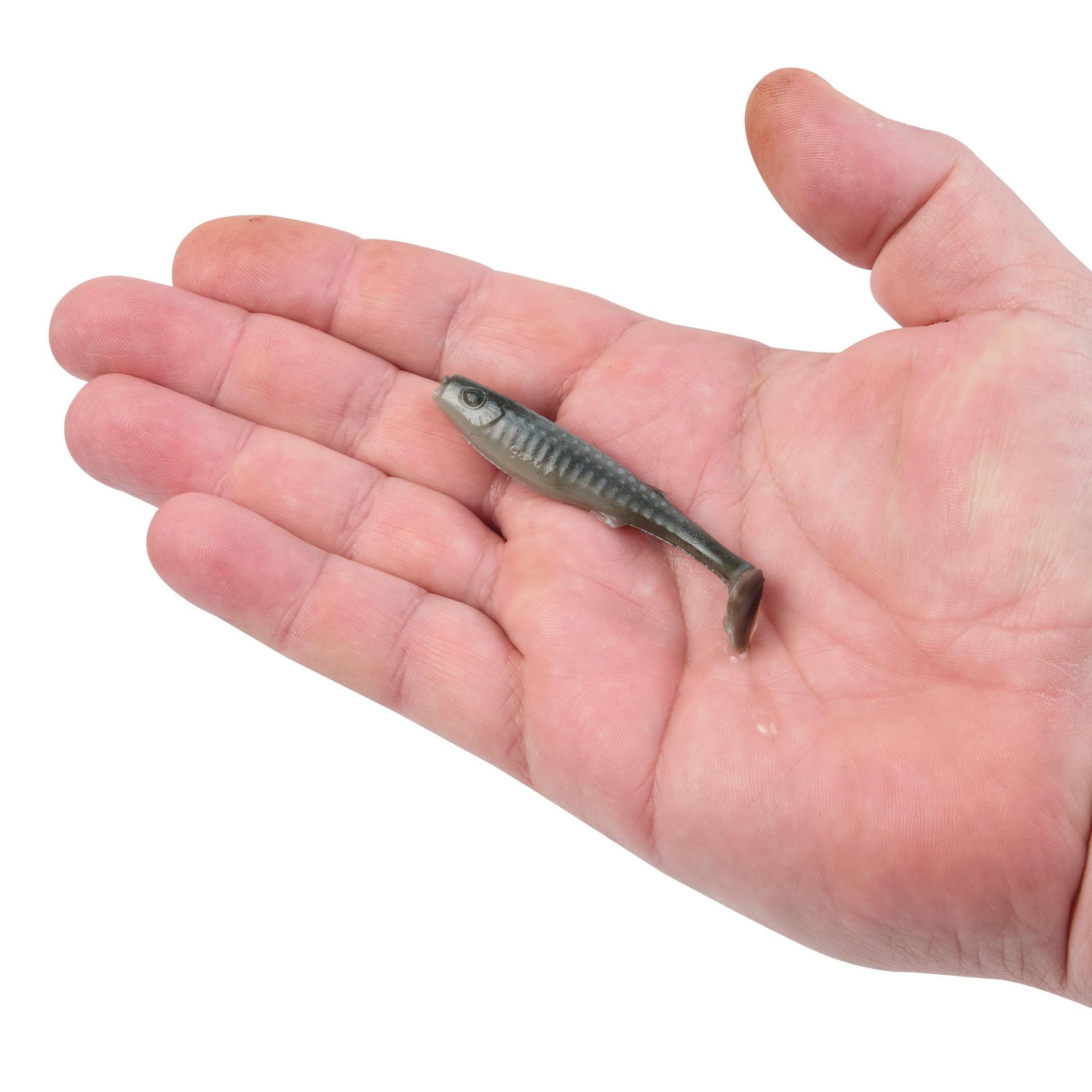 Gulp! Alive!? Paddleshad - Image 8