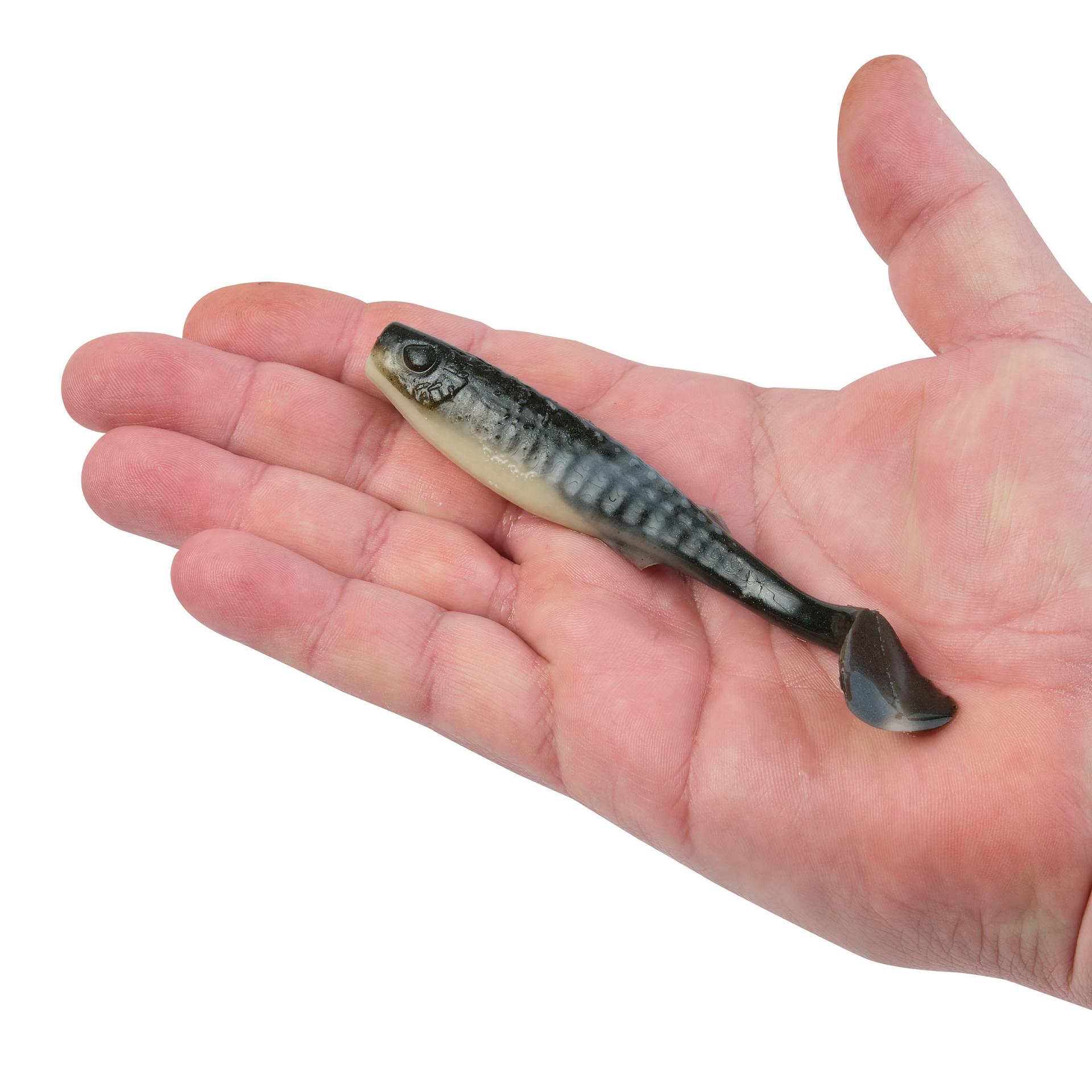 Gulp! Alive!? Paddleshad - Image 25