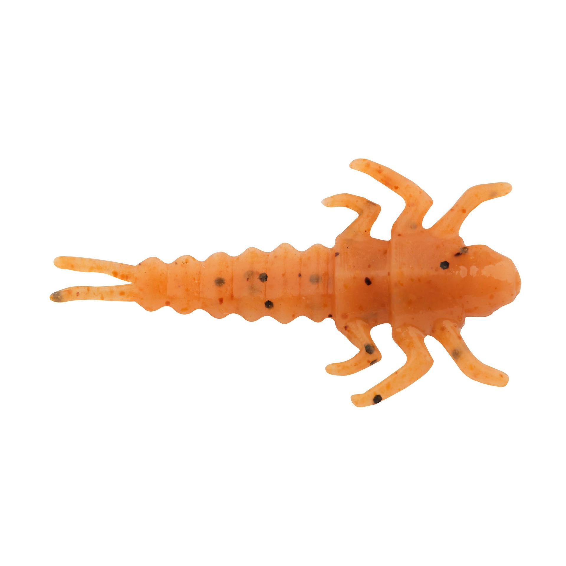 Gulp! Alive!? Stonefly - Image 28