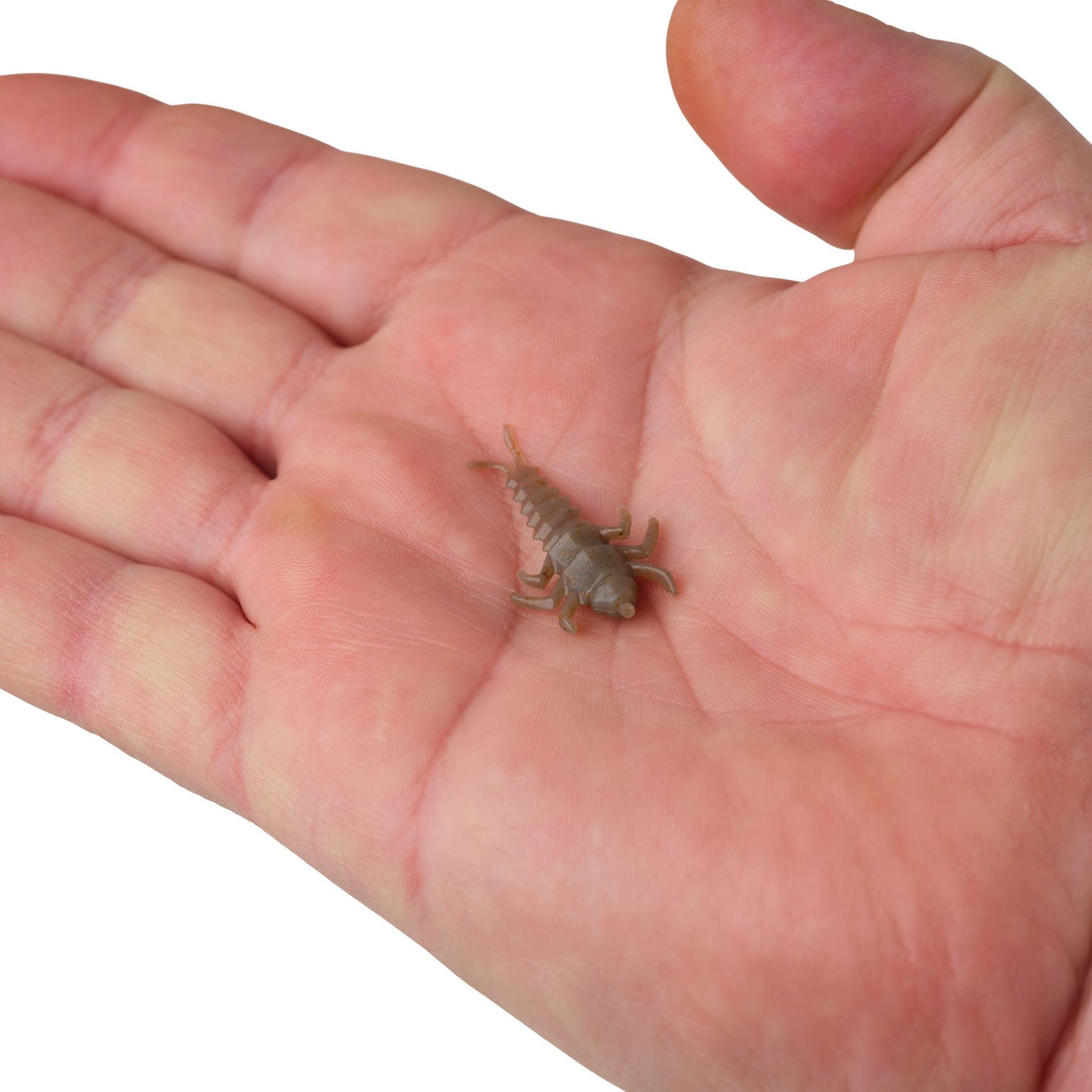 Gulp! Alive!? Stonefly - Image 14