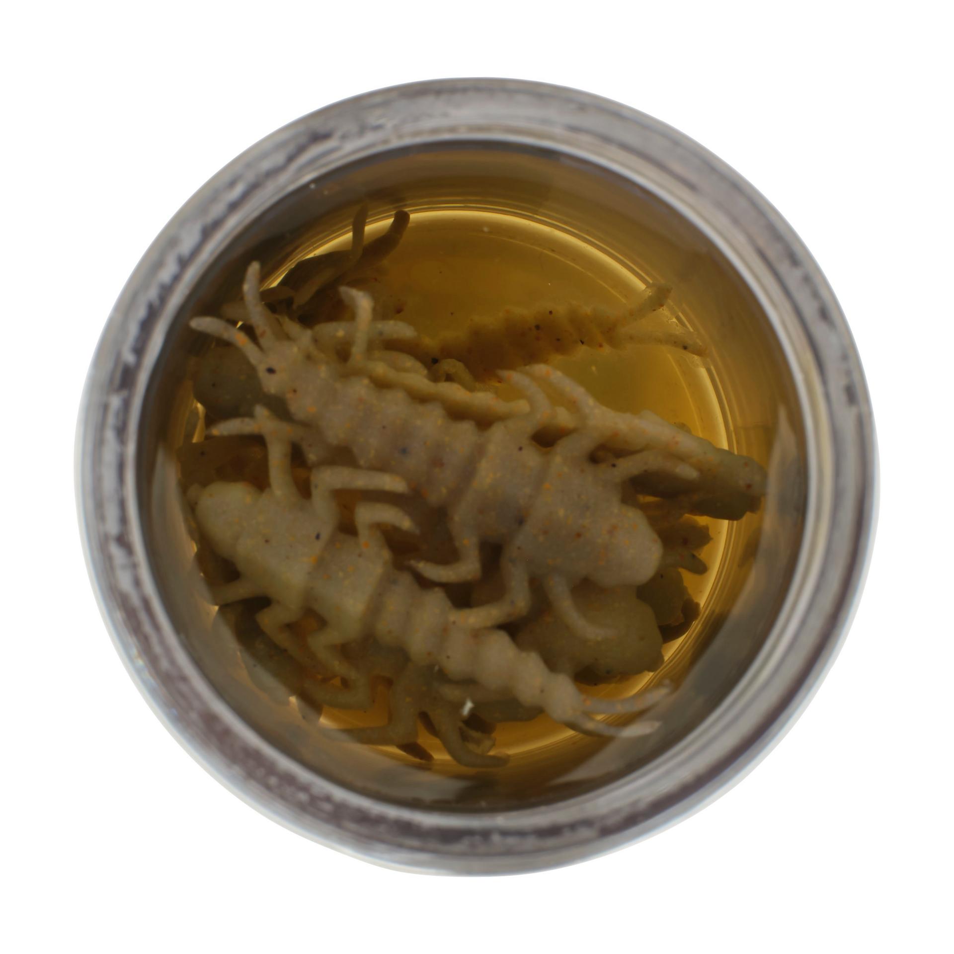 Gulp! Alive!? Stonefly - Image 12