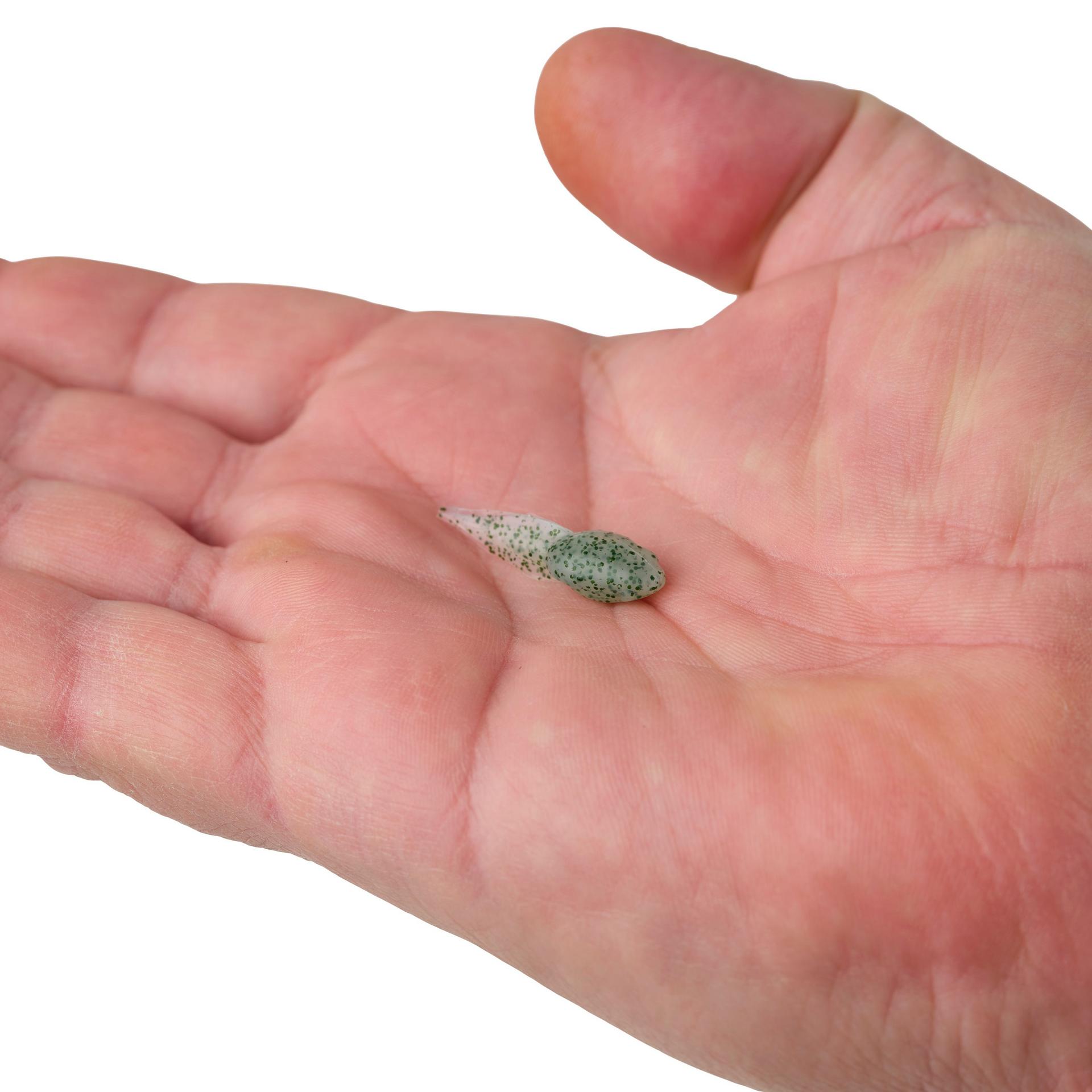 Gulp! Alive!? Tadpole - Image 7