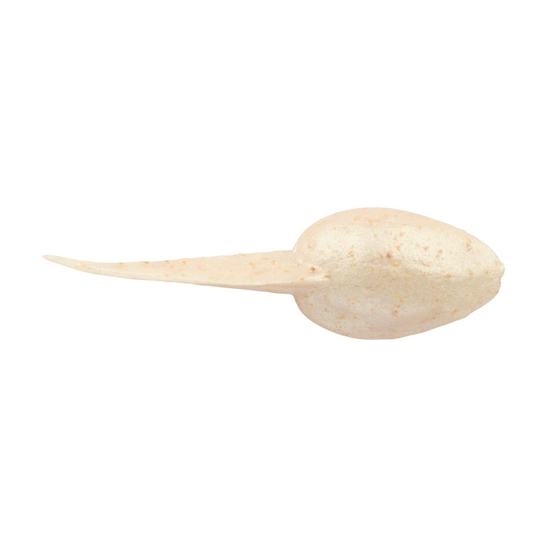 Gulp! Alive!? Tadpole - Image 22