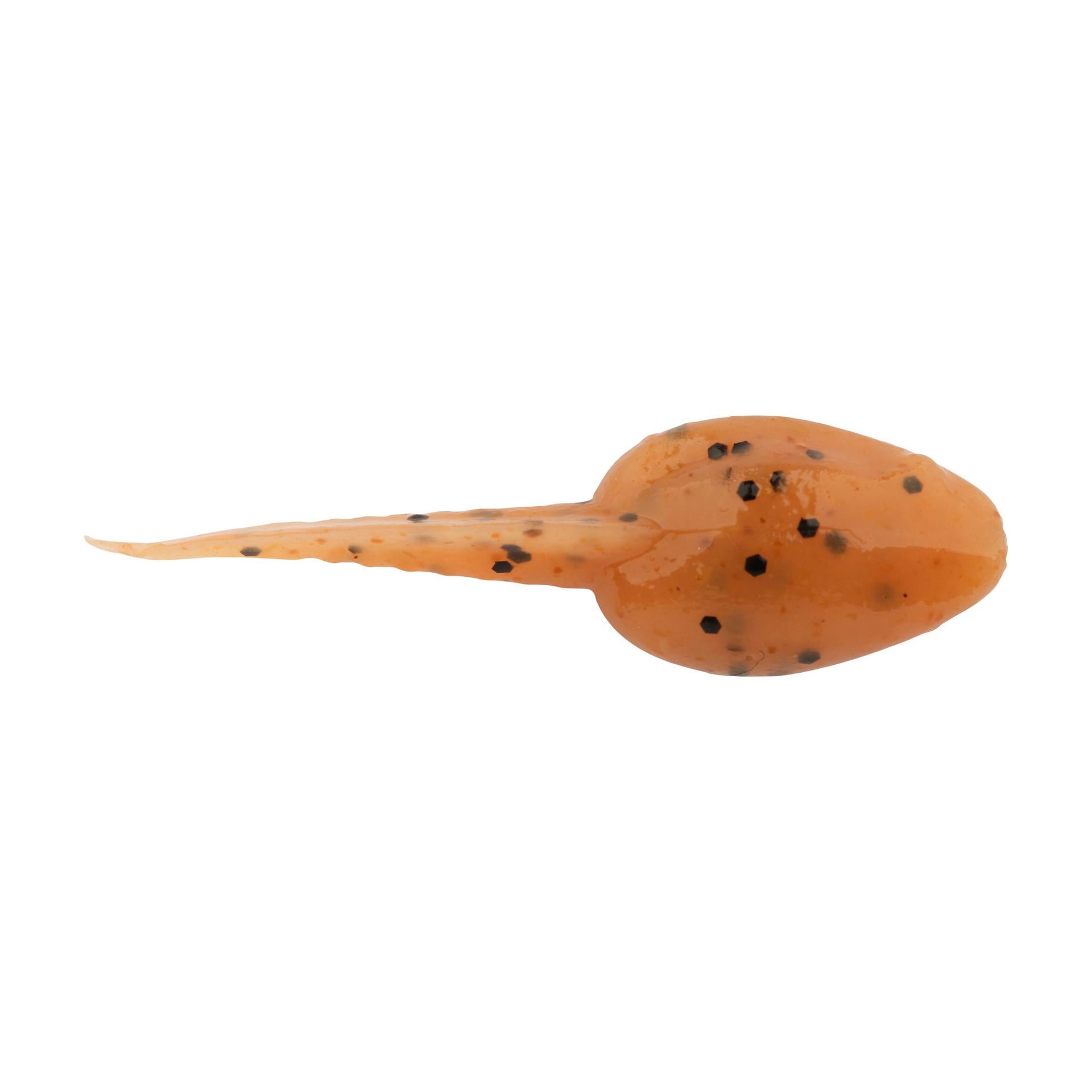 Gulp! Alive!? Tadpole - Image 17