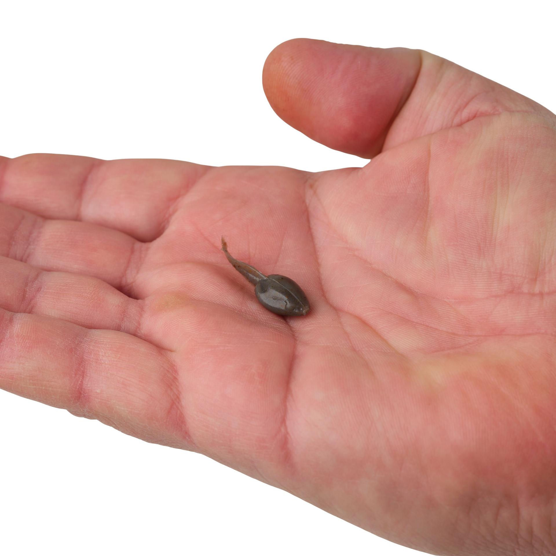 Gulp! Alive!? Tadpole - Image 13