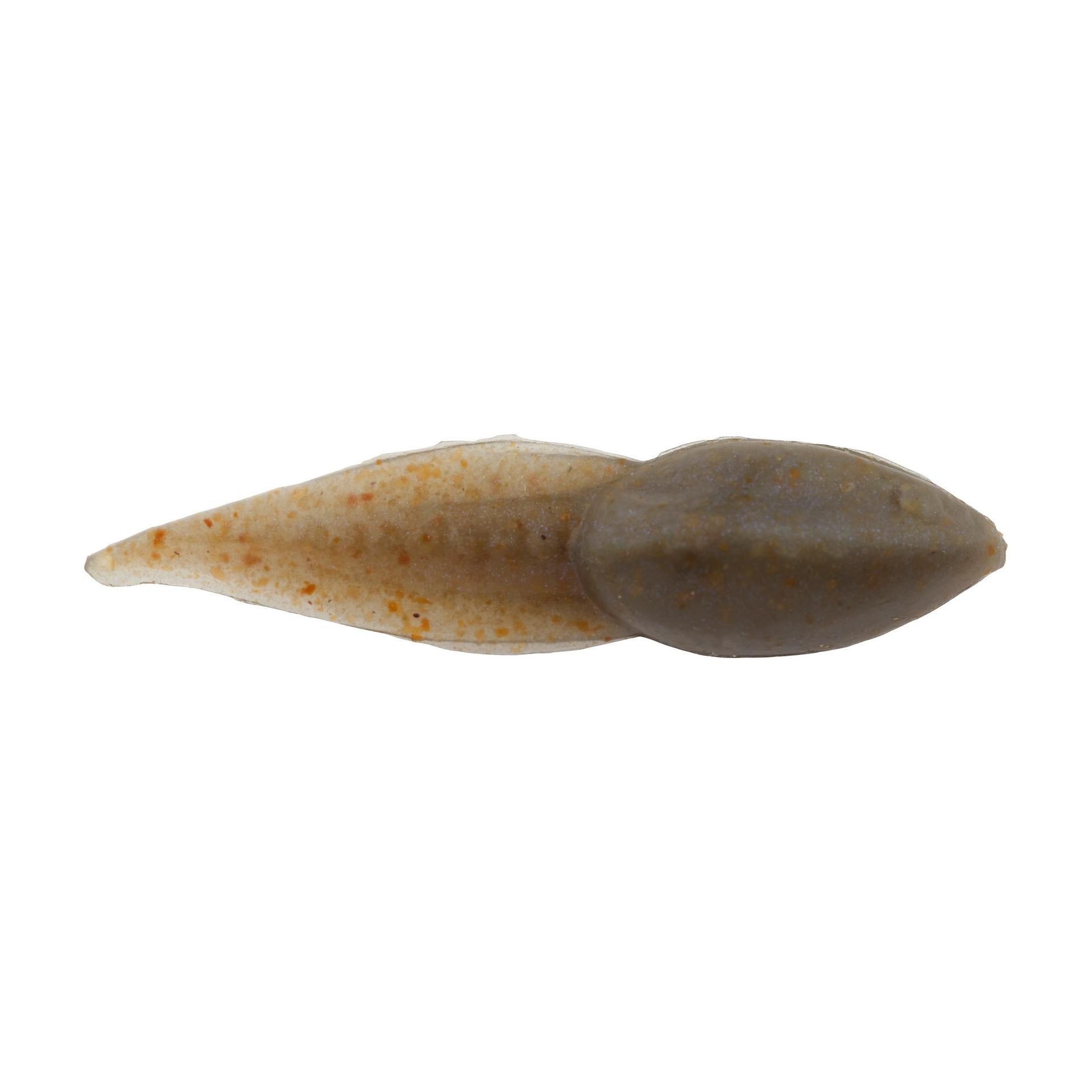 Gulp! Alive!? Tadpole - Image 4
