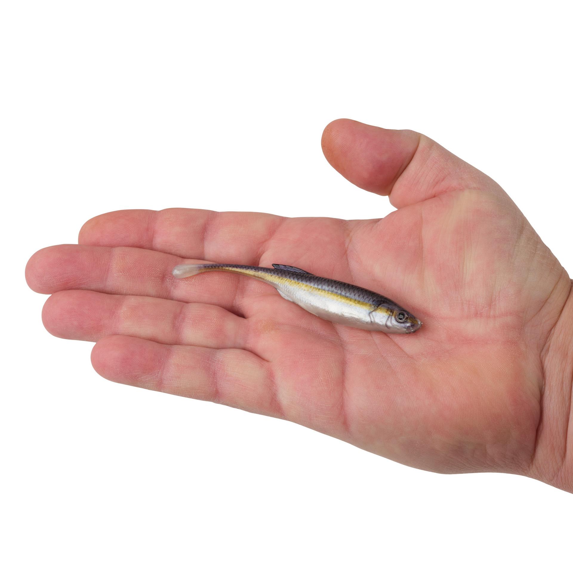 PowerBait? Drip Minnow - Image 96