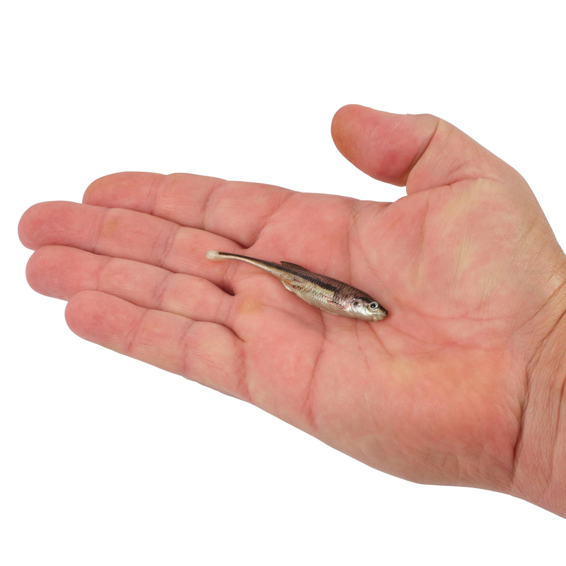 PowerBait? Drip Minnow - Image 54
