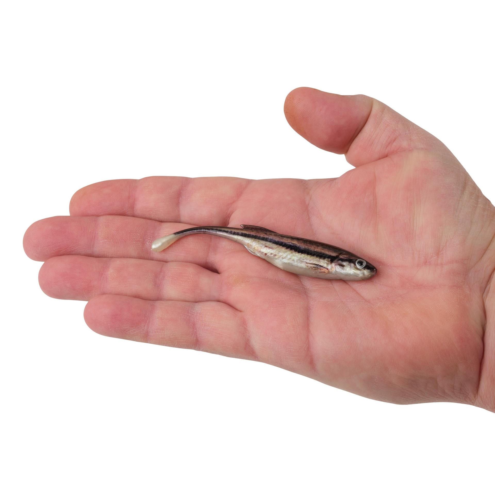 PowerBait? Drip Minnow - Image 90