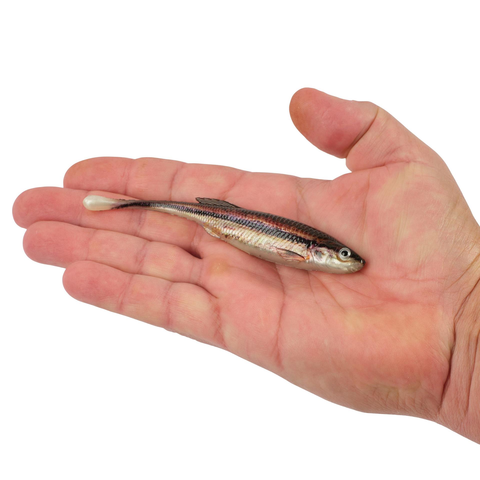 PowerBait? Drip Minnow - Image 118
