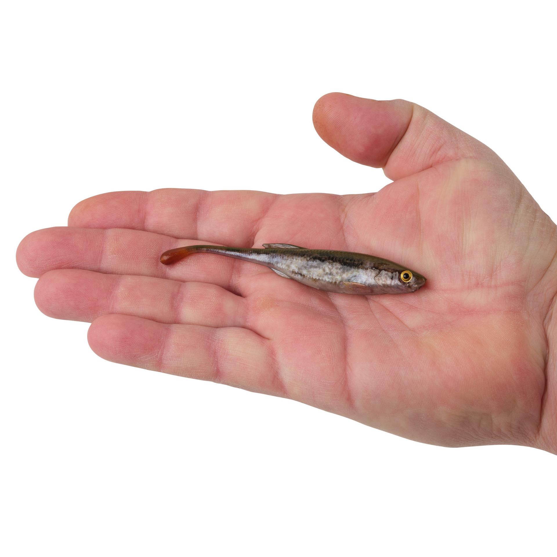PowerBait? Drip Minnow - Image 88