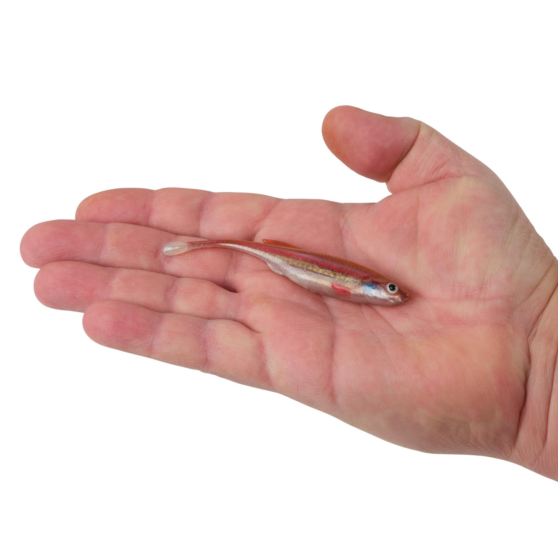 PowerBait? Drip Minnow - Image 94
