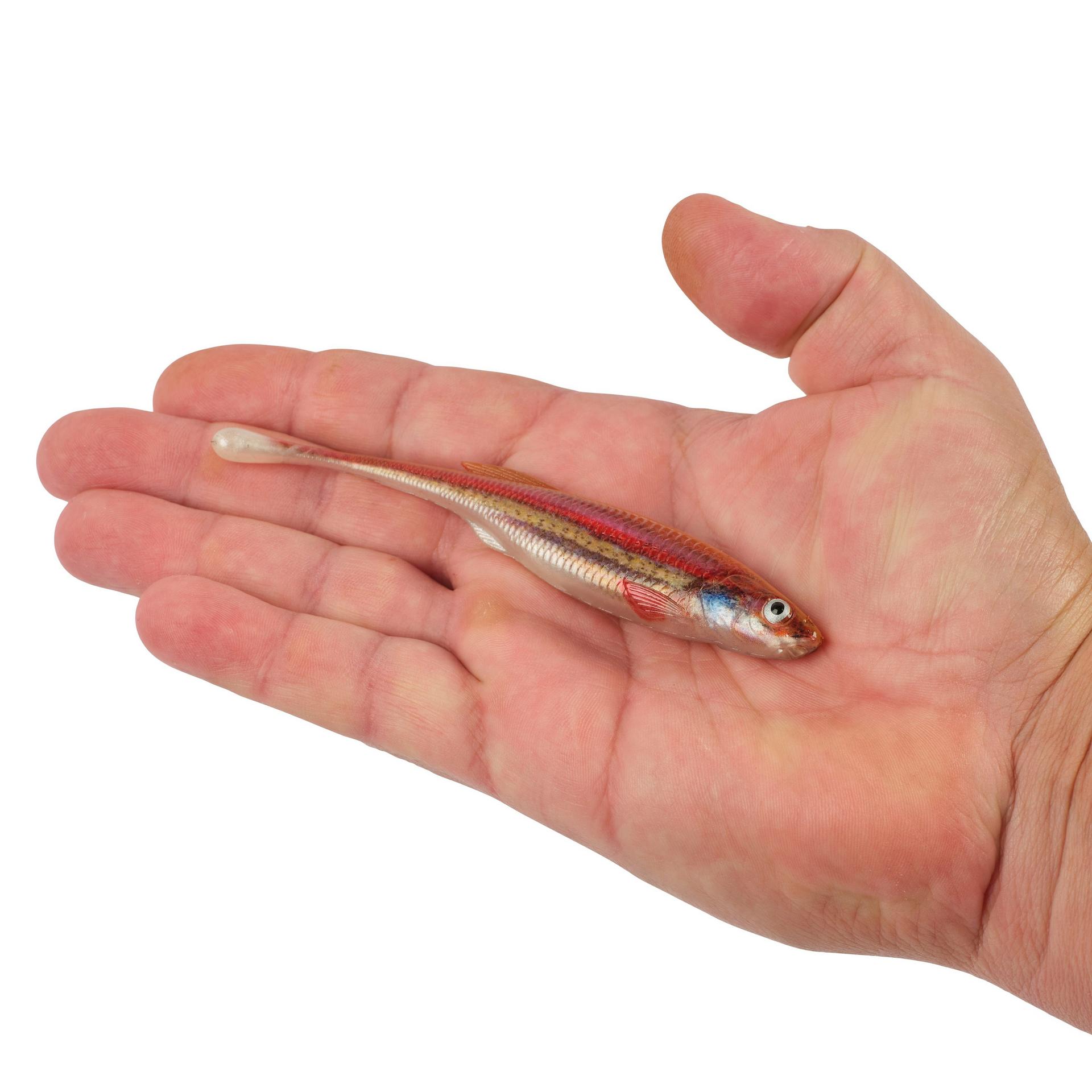 PowerBait? Drip Minnow - Image 122