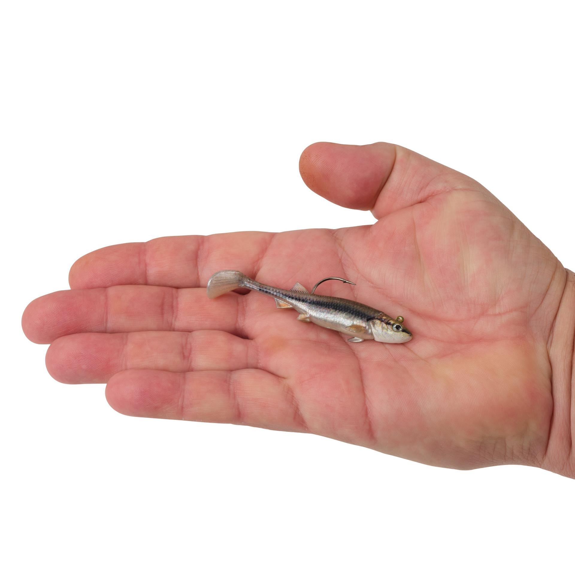 PowerBait? Minnotator - Image 102