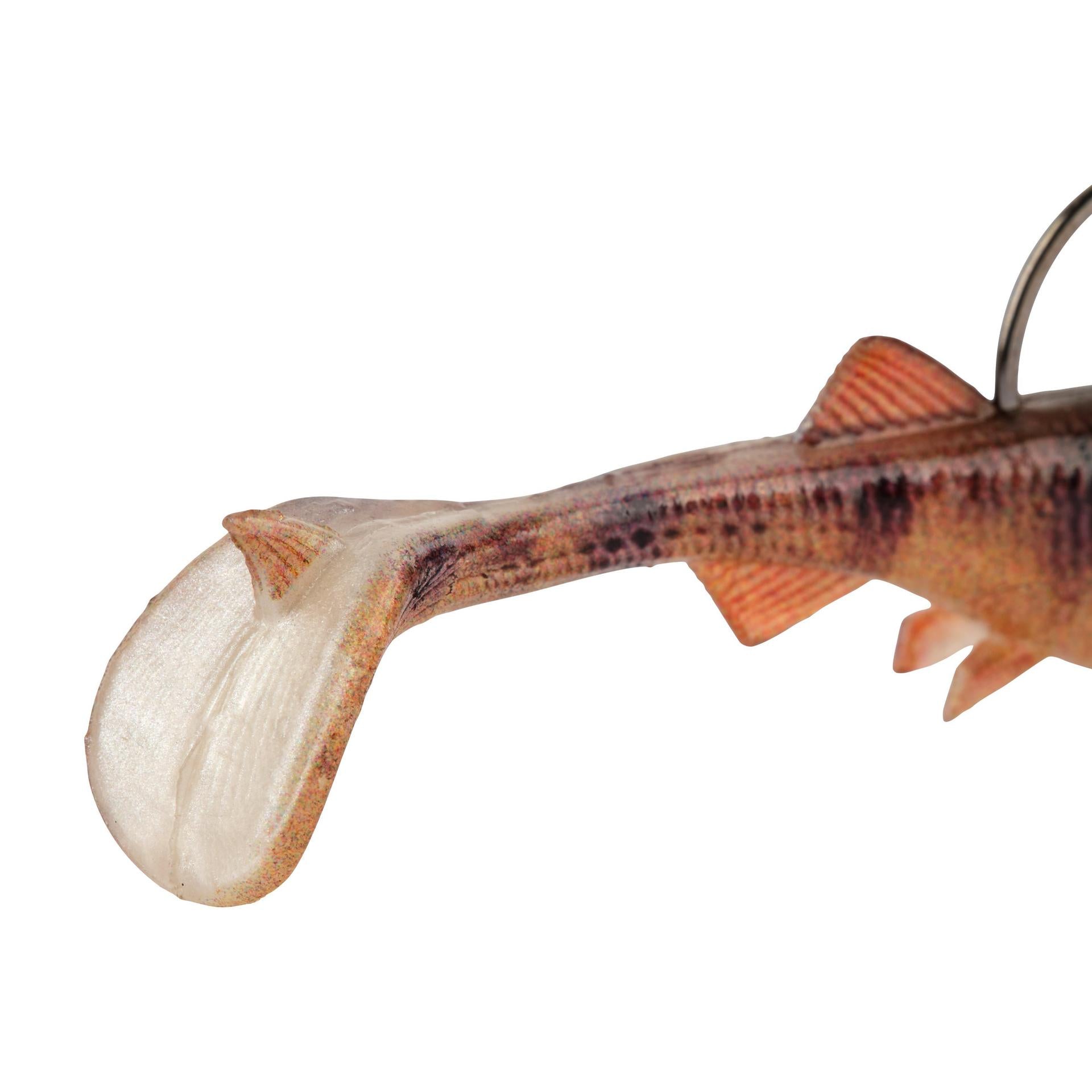PowerBait? Minnotator - Image 36